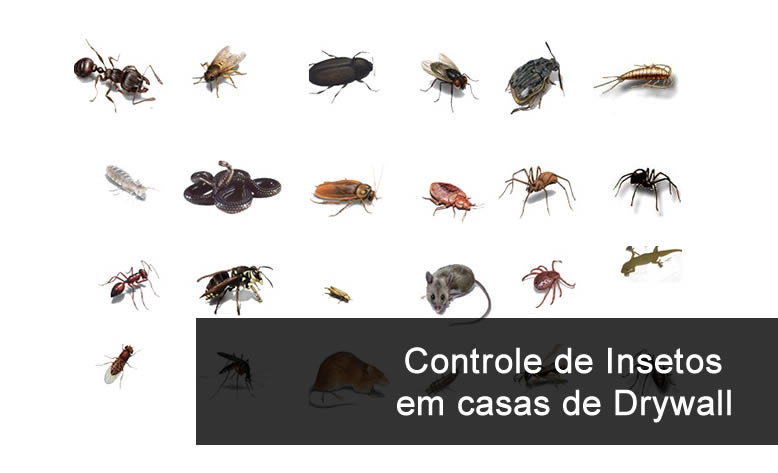 2controle-de-insetos-e-fungos-no-drywall